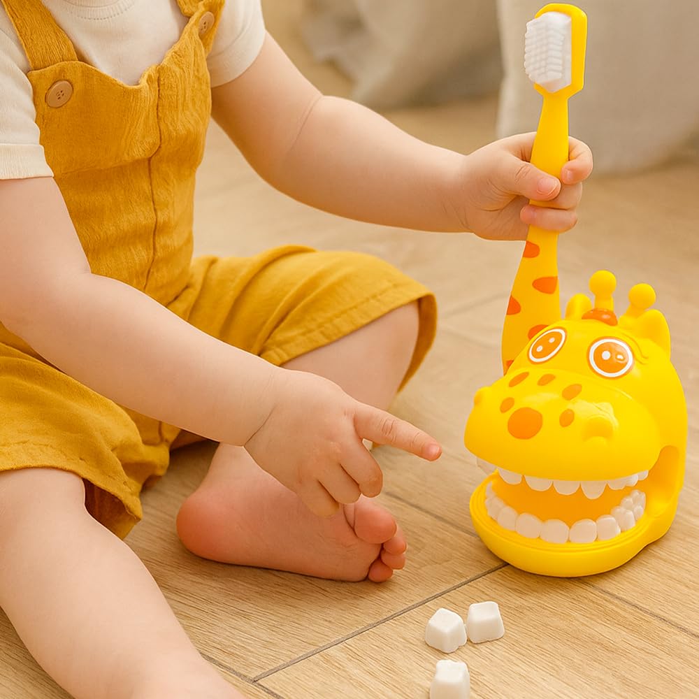 Teeth Model Toy, Removable Teeth Mold, Toothbrush Toy, Children's Playhouse, Early Education Toy, Dentist Role-Play Prop, Suitable for Ages 3 and Up