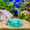 Snail Traps for Freshwater Aquarium Fish Tank Snail Catcher Aquarium Cleaning Supplies Planaria Catch Box for Household Fish