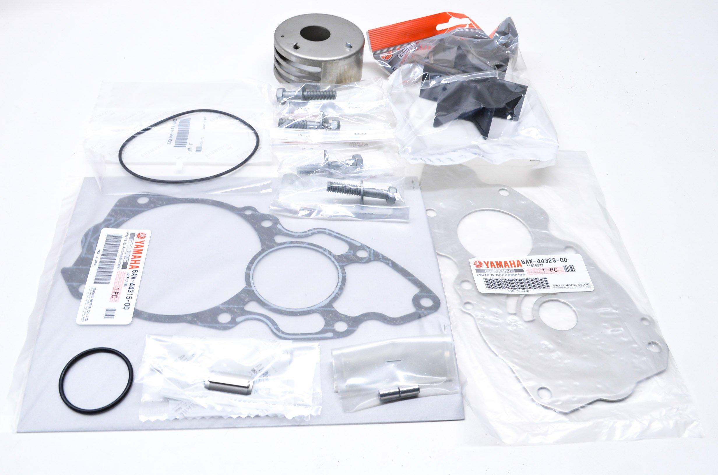 

OEM Yamaha F300/F350 V8 Outboard Water Pump Repair