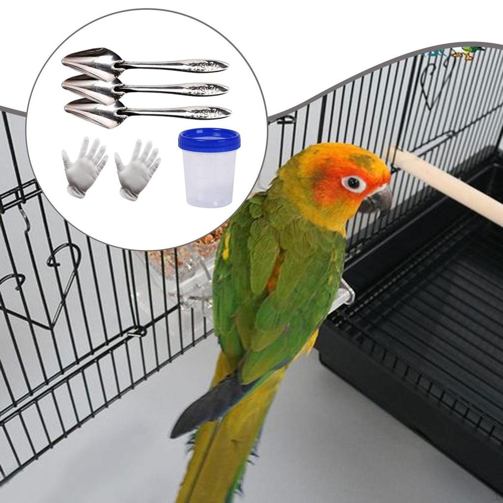 Bird Feeder Spoon Hand Tool Accessory, Portable Metal, Sturdy Professional, Practical Premium