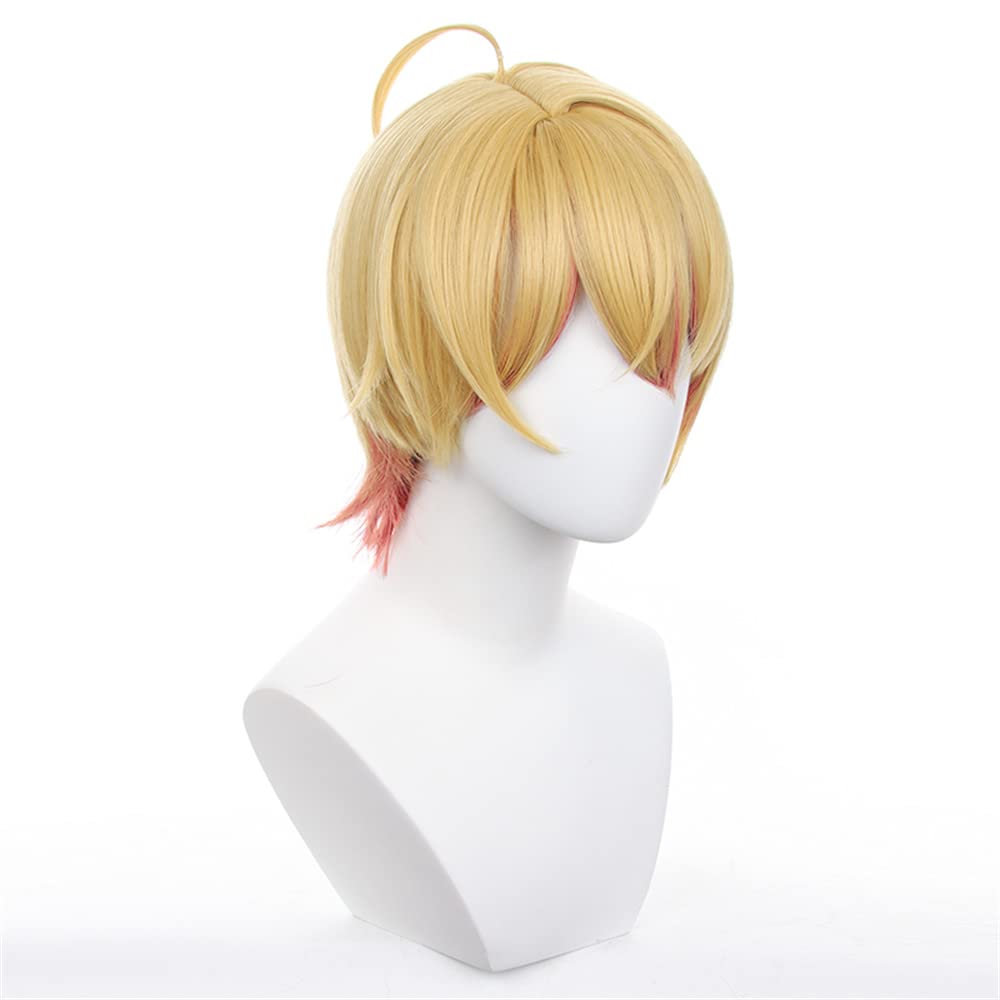 iirukaa Oshi no Ko Hoshino Aqua Wig, Heat Resistant, Perfect for Photography, 2D Goods, Events, Cosplay, Halloween, and Disguise