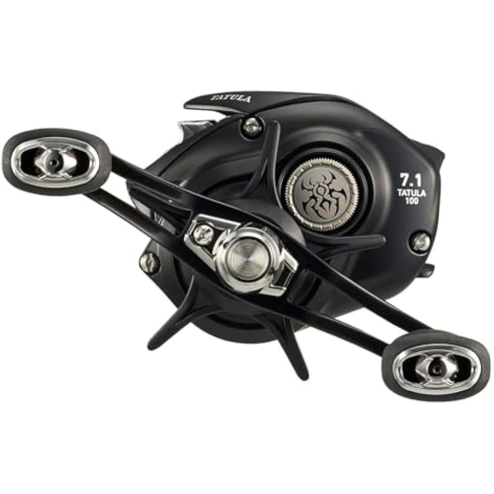 Daiwa (DAIWA) Bait Reel 24TW 100HL