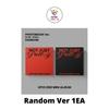 PHOTOBOOK Ver Izna 2nd Mini Album Not Just Pretty