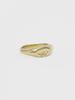 Boldiere Leaf Stamp Ring_ R21[Gold]