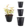 100Pcs Plastic Black Seedling Nursery Pots Seed Starting Grow Bag Flower Plant Breathable Container Garden Vegetable Box Cutting
