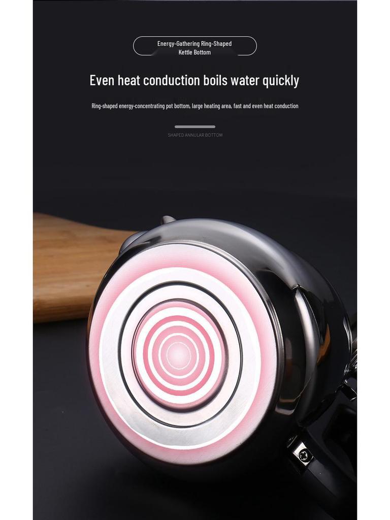 Large Capacity Stainless Steel Teapot with Filter for Electromagnetic Stoves