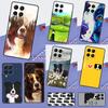 Border Collie Dog For Samsung Galaxy M11 M21 M31 M12 M13 M14 M15 M35 M55 M34 M54 M33 M53 M32 M52 M06 M16 Case