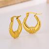 Stainless Steel Earrings French Premium Sense Design Sense Plated 11K Gold Geometric Earrings Jewelry, Titanium Steel Earrings