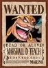 Ensky 208-Piece Jigsaw Puzzle, One Piece, Wanted Poster "Marshall D. Teach" 208-071