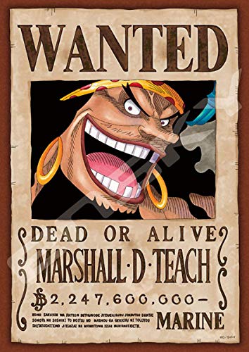 Ensky 208-Piece Jigsaw Puzzle, One Piece, Wanted Poster "Marshall D. Teach" 208-071