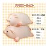 Pig Stuffed Animal Cushion Cute Hugging Pillow Animal Chewy Fluffy Co-Sleeping Soothing (Pig with Open Eyes (50cm))