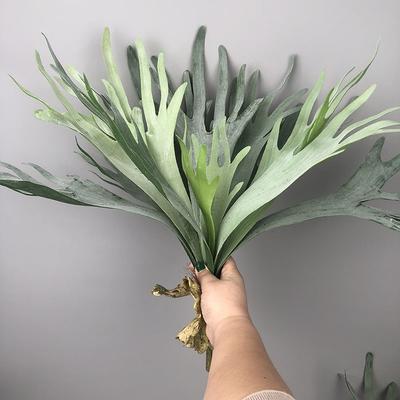 1PC Piante Succulente Verde Artificiale Moderno Oggetti di Scena per Fotografia Piante Simulate Decorazioni per Casa e Ufficio