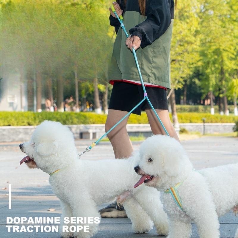 A Multi-purpose P-chain Dog Collar for Pets with Anti-breakaway Leash for Walking Dogs