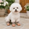 4PCS/SET Wear-Resistant Dog Sneakers Breathable Pet Footwear Dog Boots Dog Foot Covers  Training