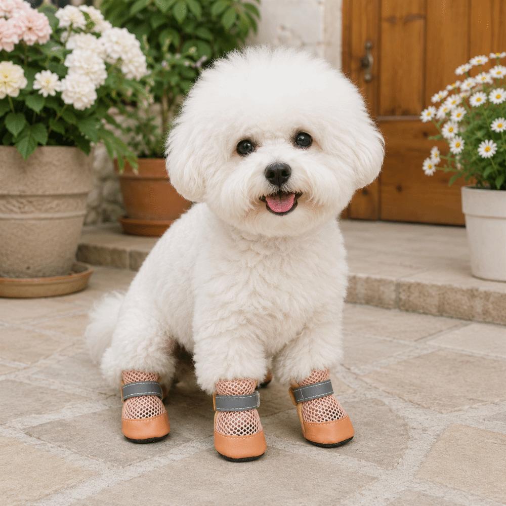 4PCS/SET Wear-Resistant Dog Sneakers Breathable Pet Footwear Dog Boots Dog Foot Covers  Training