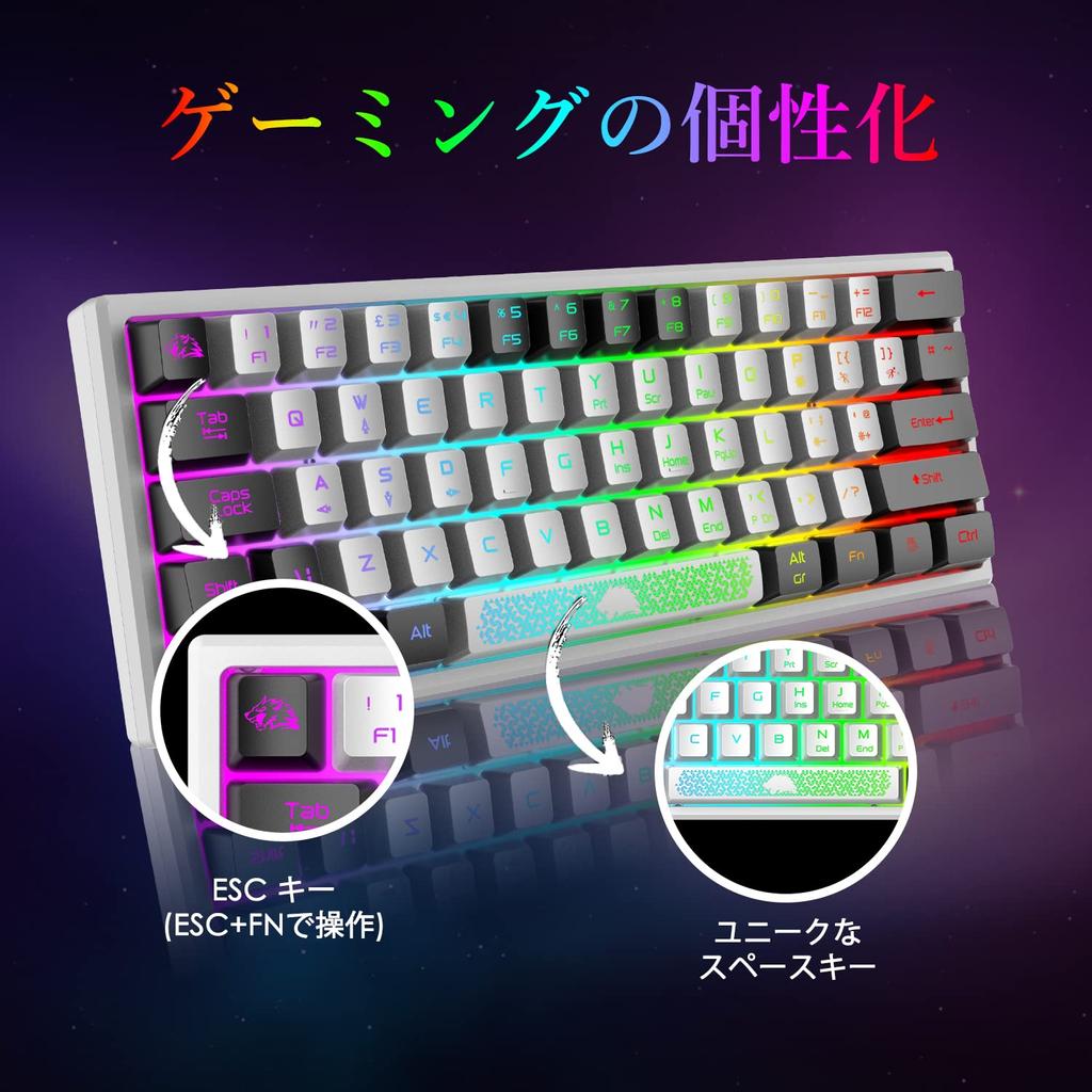 LexonTech X ZIYOU LANG K61 Gaming Keyboard with RGB LED Backlighting (60%), 62 Keys, Quiet, Compact (US Layout), USB Membrane Wired Keyboard,