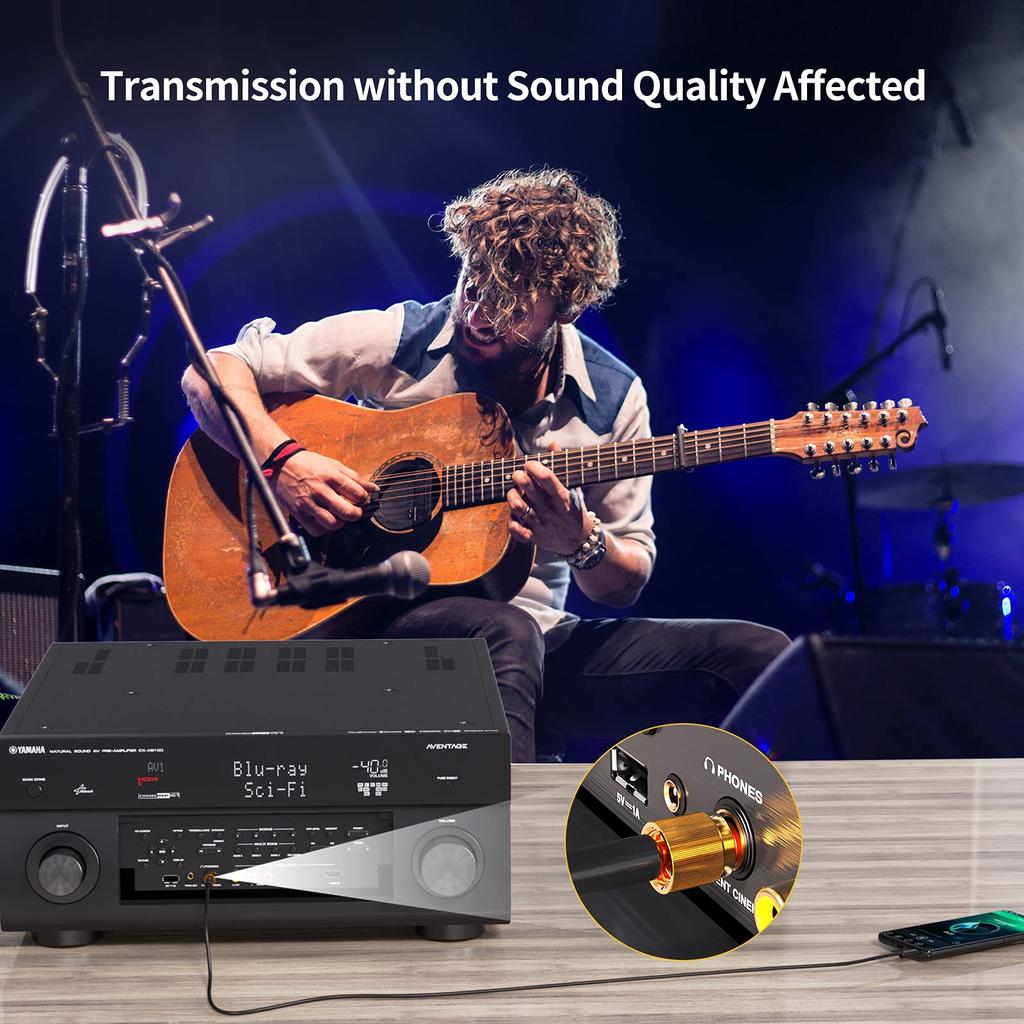 Stereo Mini Plug to Stereo Standard Stereo Plug to Stereo Jack Adapter to to with Screw Gold Plated Amplifier Headphone Conversion Plug,CableCreation