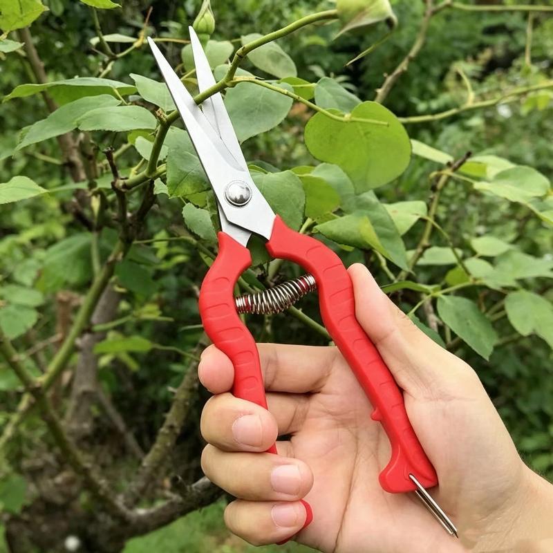 Langlebige Gartenschere Scharfe Edelstahlklingen Rutschfeste Rote Griffe Geeignet für Alle Gartenarbeiten Beschneiden Auslichten