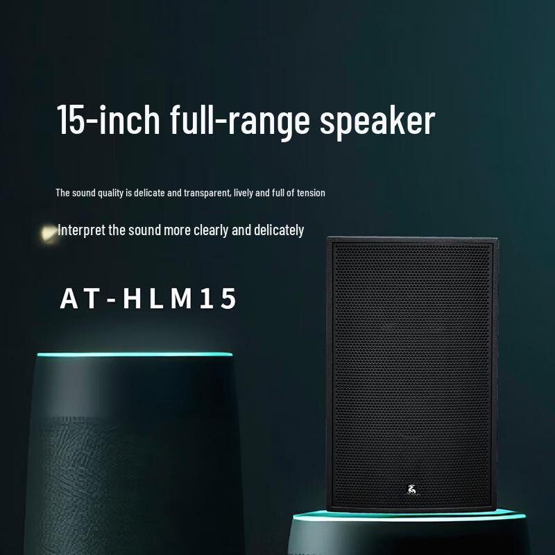 KRFIONTU 15-inch Conference Full-Range Speaker (CN version)
