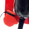 Cat Punching Bag, Boxing Toy for Kittens and Cats