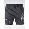 Шорты спортивные Reebok Classics Block Party Shorts