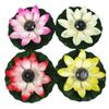 Automatic Sensing Smart Switch Solar Lotus Lamp Waterproof Lotus Wishing Lamp  Easter