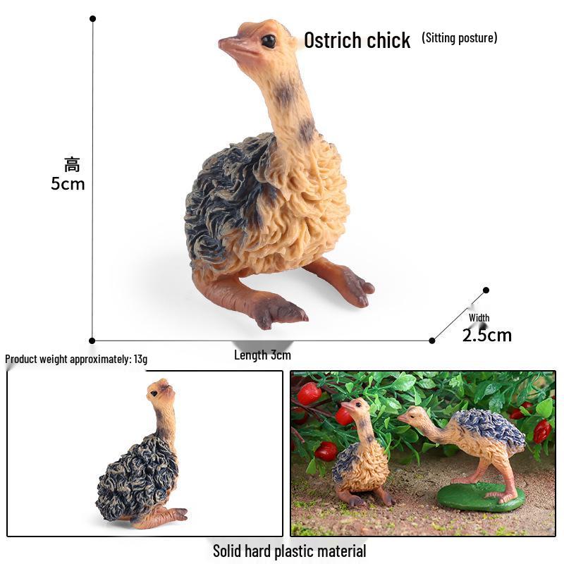 Educational Bird Models for Kids: Arctic Puffin & Sea Eagle Wingspan Decor Gifts