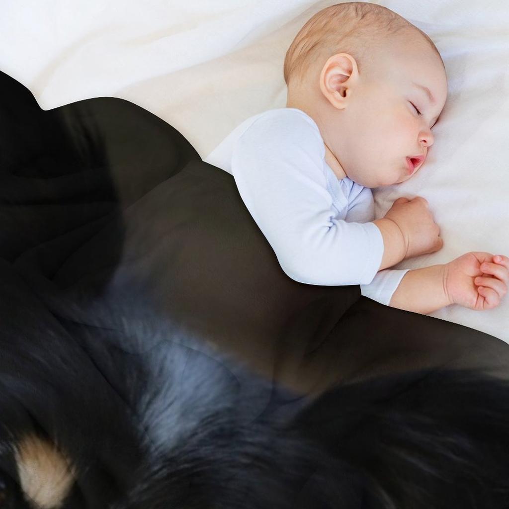 Papillon Pes Hodicí deka Termo Dětské Kempování Vintage Deky