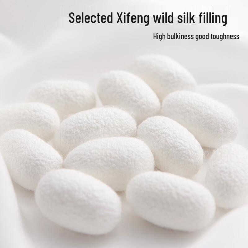 SILKUEEN Machine Washable Mulberry Silk Quilt