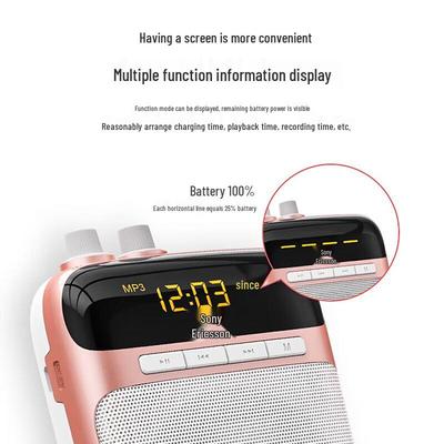 SOAIY S318PRO Portable Voice Amplifier CN Plug (adapter Included)