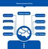 Operations Thinking: Building Operations Capabilities