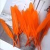 50Pcs Decorative Painting Feather Color Small Straight Knife Kindergarten Handmade Diy Decorative Wings Artwork Creative Art Materials