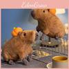 Realistisches Capybara Plüschtier Weiches Kuscheltier 30cm Lebensecht Heimdekoration Geschenk für Erwachsene Kinder