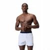 Mens Volley Logo Swim Shorts