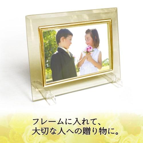 Plus Photo Paper, Super Beautiful Photo Paper, 2L Size, 20 Sheets IT-020LL-PP 46095