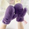 Winter New Thickened Plush Warm Gloves Fashionable Simple Solid Color Thermal Cold Weather Handwear