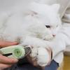 Pet Nail Trimmer Lighted Dog Nail Trimmers File Sharpening Pet Dog Nail Grinder Trimmers Transparent Baffle Return