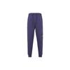 Air Essentials Sweatpants 'Purple' Men's FD7346-502