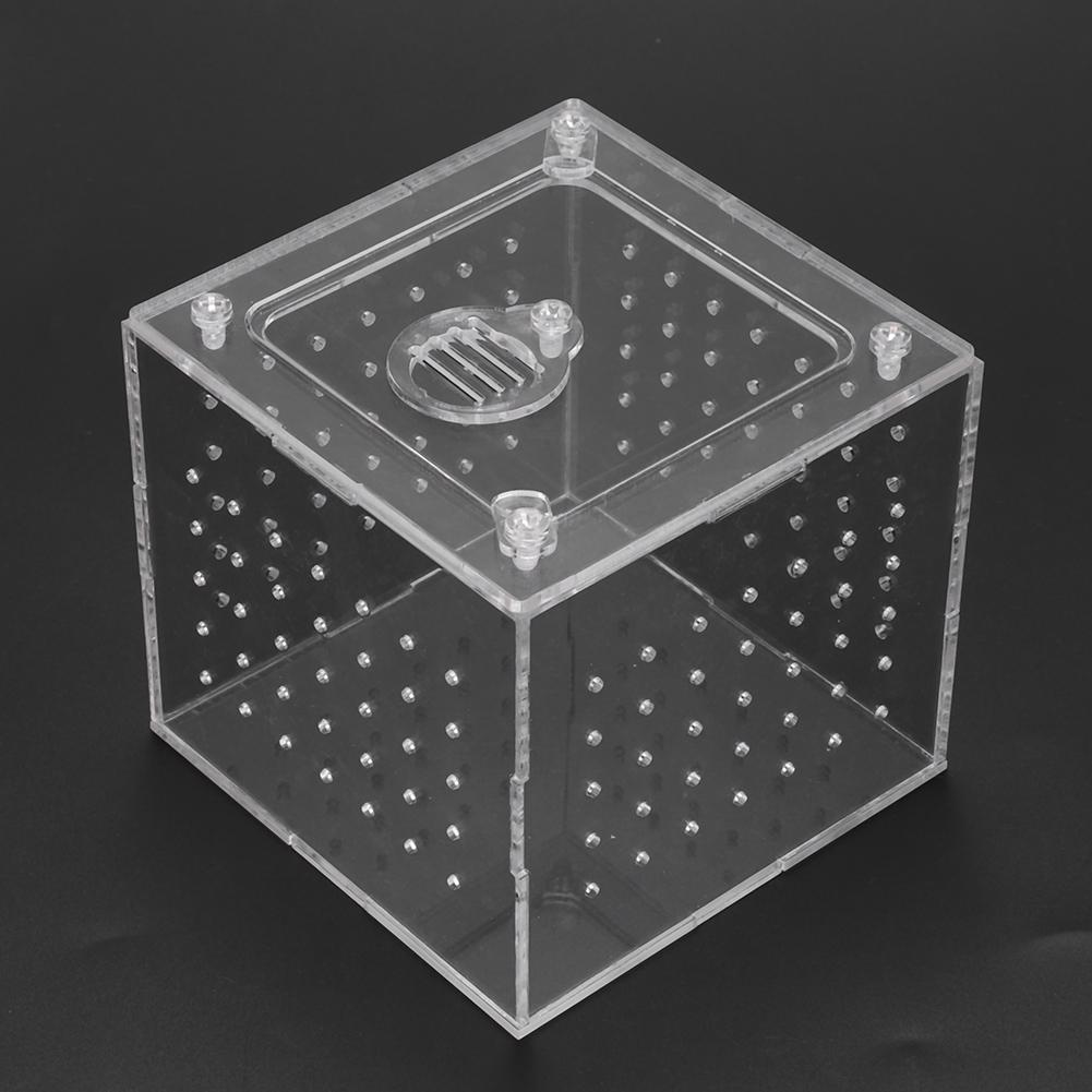 1Pc Reptile Terrarium Feeder Snakes Spider Lizard Breeding Acrylic Box Case Insects House