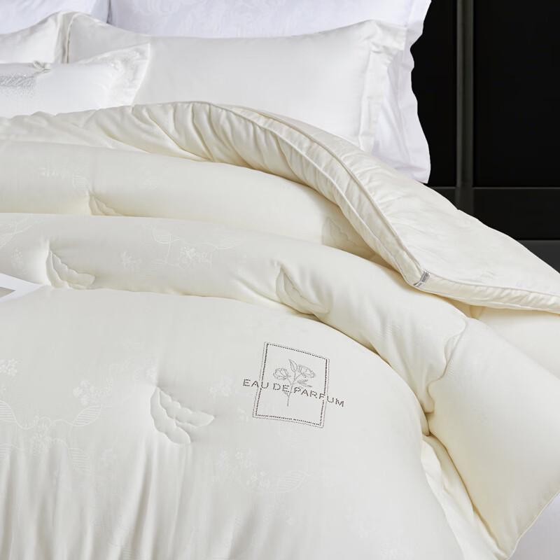 PAUI DAVID Thickened All-Season Polyester Quilt