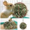 Hanging Long Chain Round Rabbit Grass Ball Mini Pet Grass Food Ball Rack Pet Supplies