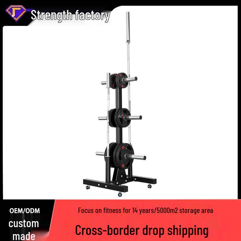 Mobile Gym Storage Rack for Dumbbells, Plates, and Accessories