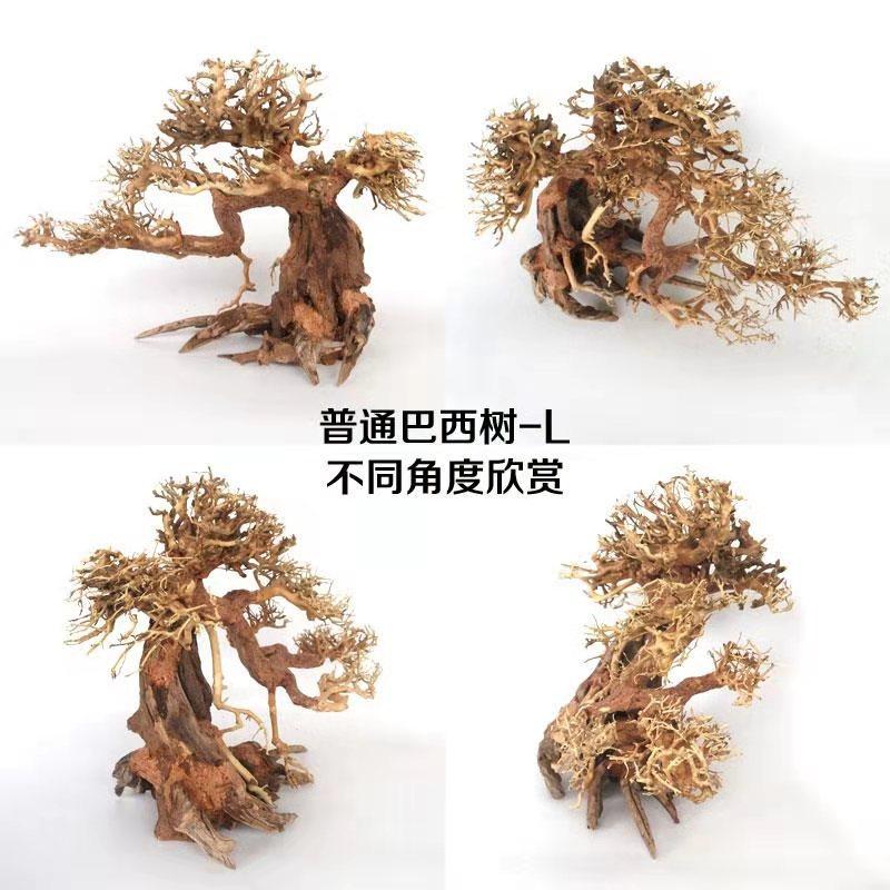 Natural Aquarium Driftwood Assorted Branches Reptile Ornament for Fish Tank Decoration