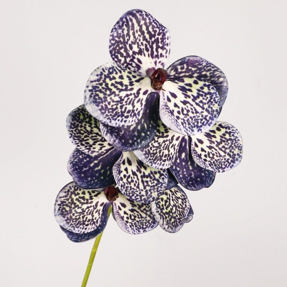5 Heads Artificial Orchid Real Touch Multi Color Fake Phalaenopsis Flower Iron Wire Inner Lining 67cm Silk Flower