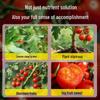 Bio Kirschtomaten Dünger: Nährlösung für Topf- und kleine Frucht-Tomaten