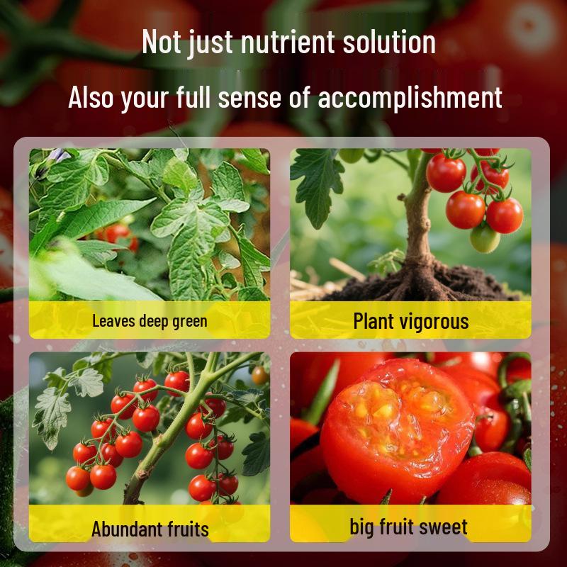 Bio Kirschtomaten Dünger: Nährlösung für Topf- und kleine Frucht-Tomaten