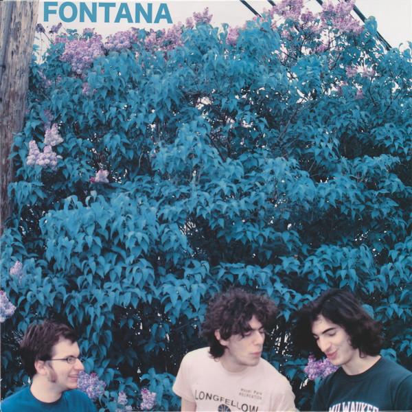 Виниловая пластинка FONTANA 9 Fontana X016 X Records 2009 US Rock Б/у