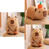 Capybara Plush Pillow Squishy Bubble Cushion Decoration Girl Kids Birthday Gift