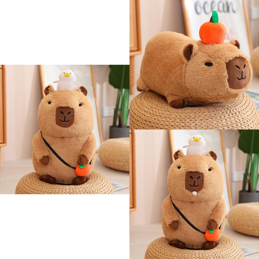 Capybara Plush Pillow Squishy Bubble Cushion Decoration Girl Kids Birthday Gift