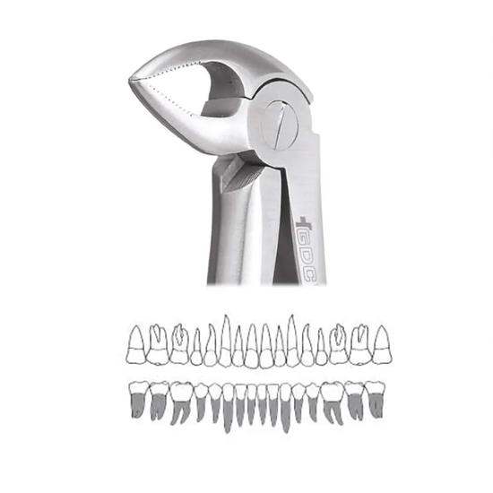 

GDC Extraction Forceps Lower Roots - 33 Standard (FX33S)